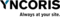 YNCORIS GmbH & Co. KG